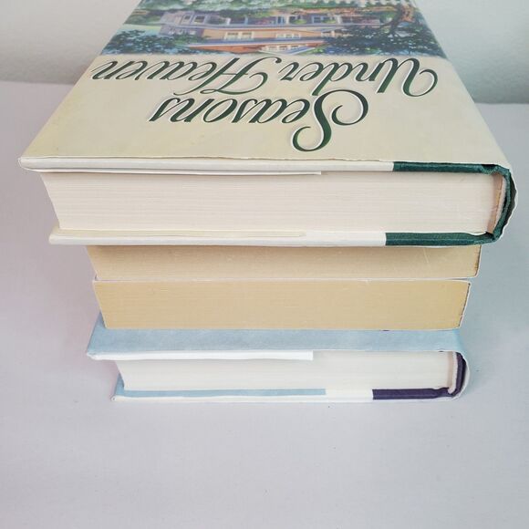 Beverly LaHaye & Terri Blackstock Season Series Mixed Lot of 4 Books PB HC - Picture 5 of 14